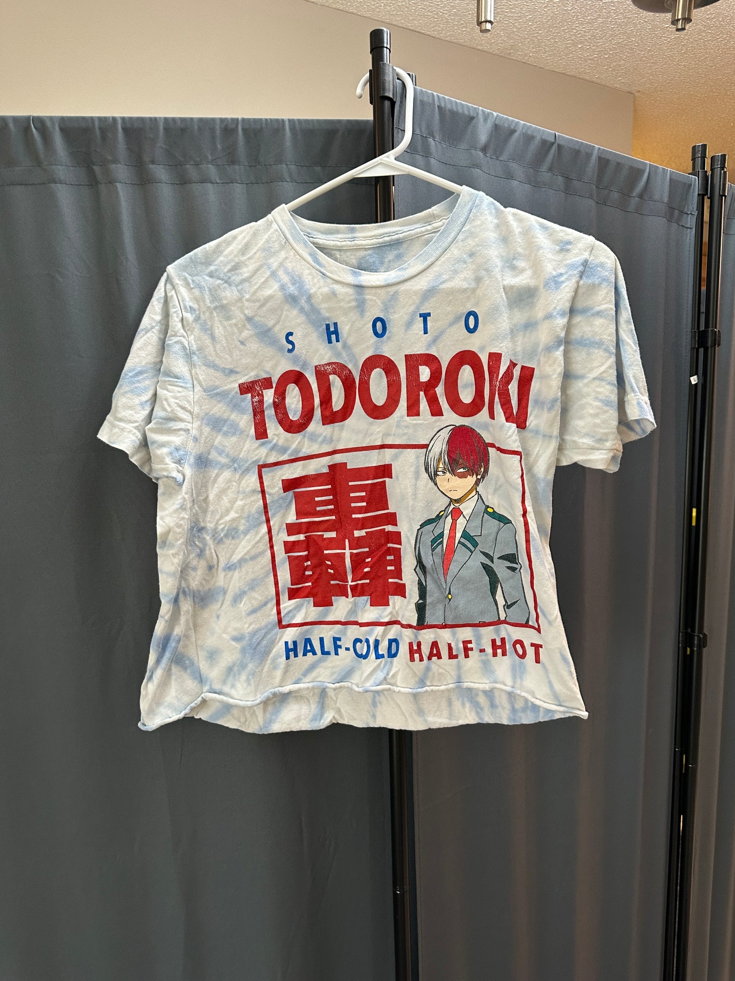 my hero academia crop (todoroki)