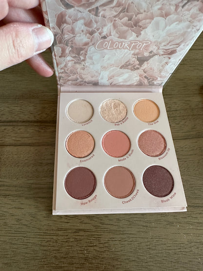 colourpop palette (blush crush)