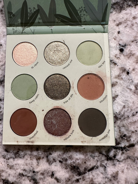 colourpop palette (sage)