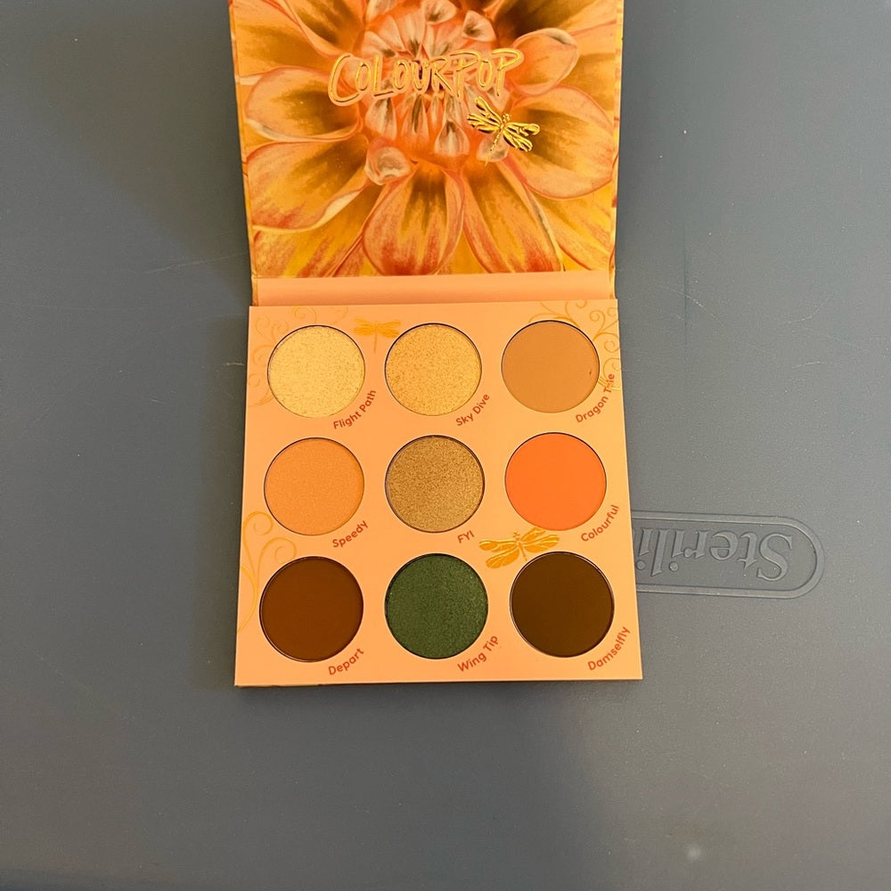 *colourpop eyeshadow palette (so fly)