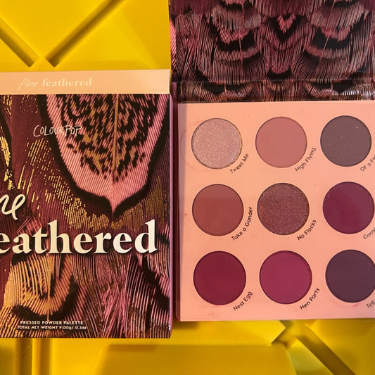 *colourpop eyeshadow palette (fine feathered)